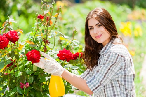 Seasonal garden care services in Tottenham